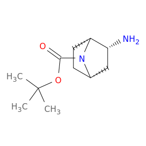 7-Azabicyclo[2.2.1]heptane-7-carboxylic acid, 2-amino-, 1,1-dimethylethyl ester, (1R,2R,4S)-rel-