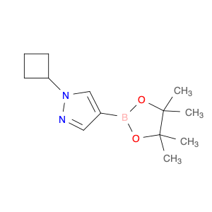 1002309-48-9 1H-Pyrazole, 1-cyclobutyl-4-(4,4,5,5-tetramethyl-1,3,2-dioxaborolan-2-yl)-