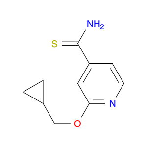 1019546-78-1 2-(cyclopropylmethoxy)pyridine-4-carbothioamide