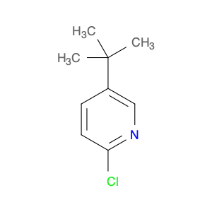 102236-19-1 5-tert-butyl-2-chloropyridine