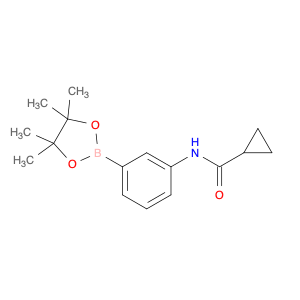 1031747-40-6 N-[3-(tetramethyl-1,3,2-dioxaborolan-2-yl)phenyl]cyclopropanecarboxamide