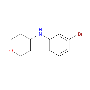 1036990-31-4 N-(3-bromophenyl)oxan-4-amine