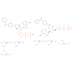 112898-15-4 2′(3′)-O-(4-Benzoylbenzoyl)adenosine 5′-triphosphate triethylammonium salt