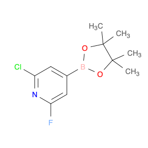 1146615-89-5 Pyridine, 2-chloro-6-fluoro-4-(4,4,5,5-tetramethyl-1,3,2-dioxaborolan-2-yl)-