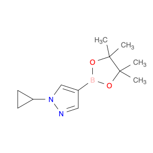 1H-Pyrazole, 1-cyclopropyl-4-(4,4,5,5-tetramethyl-1,3,2-dioxaborolan-2-yl)-