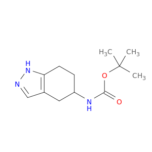 1158767-01-1 (4,5,6,7-Tetrahydro-1H-indazol-5-yl)-carbaMic acid tert-butyl ester