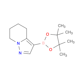 1160614-73-2 Pyrazolo[1,5-a]pyridine, 4,5,6,7-tetrahydro-3-(4,4,5,5-tetramethyl-1,3,2-dioxaborolan-2-yl)-