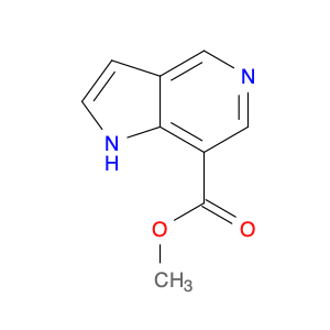 1H-Pyrrolo[3,2-c]pyridine-7-carboxylic acid, Methyl ester