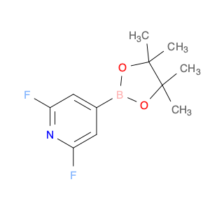 1204333-58-3 2,6-Difluoro-4-(4,4,5,5-tetramethyl-1,3,2-dioxaborolan-2-yl)pyridine