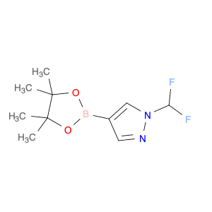 1206640-82-5 1-(Difluoromethyl)-4-(4,4,5,5-tetramethyl-1,3,2-dioxaborolan-2-yl)-1H-pyrazole