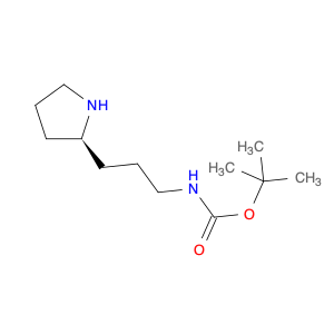 Carbamic acid, N-[3-(2R)-2-pyrrolidinylpropyl]-, 1,1-dimethylethyl ester