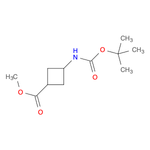 Cyclobutanecarboxylic acid, 3-[[(1,1-dimethylethoxy)carbonyl]amino]-, methyl ester