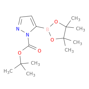 1H-Pyrazole-1-carboxylic acid, 5-(4,4,5,5-tetramethyl-1,3,2-dioxaborolan-2-yl)-, 1,1-dimethylethyl ester