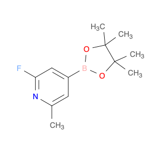 1310384-07-6 Pyridine, 2-fluoro-6-methyl-4-(4,4,5,5-tetramethyl-1,3,2-dioxaborolan-2-yl)-