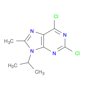 1313026-86-6 9H-Purine, 2,6-dichloro-8-methyl-9-(1-methylethyl)-