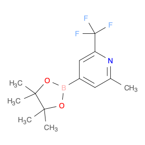 1321518-03-9 2-methyl-4-(4,4,5,5-tetramethyl-1,3,2-dioxaborolan-2-yl)-6-(trifluoromethyl)pyridine