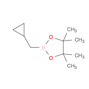 1344115-77-0 2-(cyclopropylmethyl)-4,4,5,5-tetramethyl-1,3,2-dioxaborolane