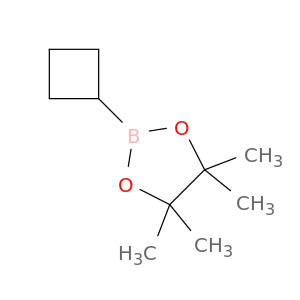 1360914-08-4 Cyclobutylboronic acid pinacol ester