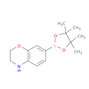 1361110-64-6 2H-1,4-Benzoxazine, 3,4-dihydro-7-(4,4,5,5-tetraMethyl-1,3,2-dioxaborolan-2-yl)-