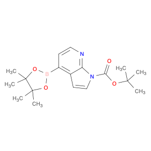 1H-Pyrrolo[2,3-b]pyridine-1-carboxylic acid, 4-(4,4,5,5-tetramethyl-1,3,2-dioxaborolan-2-yl)-, 1,1-dimethylethyl ester