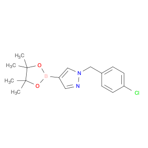 1430750-51-8 1-[(4-chlorophenyl)methyl]-4-(tetramethyl-1,3,2-dioxaborolan-2-yl)-1H-pyrazole