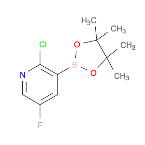 1492890-58-0 2-Chloro-5-fluoro-3-(4,4,5,5-tetramethyl-1,3,2-dioxaborolan-2-yl)pyridine