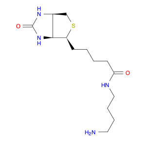 151294-96-1 N-(4-AMinobutyl)biotinaMide