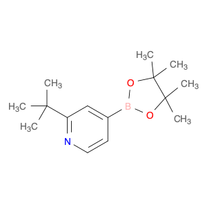 Pyridine, 2-(1,1-dimethylethyl)-4-(4,4,5,5-tetramethyl-1,3,2-dioxaborolan-2-yl)-