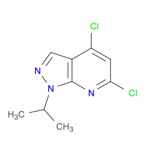 1628459-82-4 1H-Pyrazolo[3,4-b]pyridine, 4,6-dichloro-1-(1-methylethyl)-