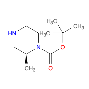 169447-70-5 (S)-1-N-Boc-2-methylpiperazine