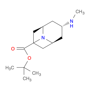 1818847-31-2 9-Azabicyclo[3.3.1]nonane-9-carboxylic acid, 3-(methylamino)-, 1,1-dimethylethyl ester, (3-exo)-