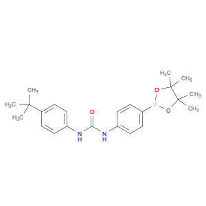 1872387-85-3 Urea, N-[4-(1,1-dimethylethyl)phenyl]-N'-[4-(4,4,5,5-tetramethyl-1,3,2-dioxaborolan-2-yl)phenyl]-