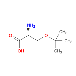 D-Serine, O-(1,1-dimethylethyl)-