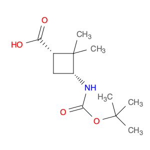 (1S,3R)-3-(tert-butoxycarbonylamino)-2,2-dimethyl-cyclobutanecarboxylic acid