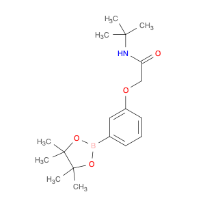 2056919-55-0 Acetamide, N-(1,1-dimethylethyl)-2-[3-(4,4,5,5-tetramethyl-1,3,2-dioxaborolan-2-yl)phenoxy]-