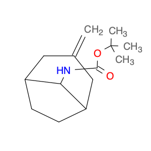 2168116-64-9 tert-butyl N-{3-methylidenebicyclo[3.2.1]octan-8-yl}carbamate