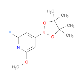 2223043-31-8 2-fluoro-6-methoxy-4-(tetramethyl-1,3,2-dioxaborolan-2-yl)pyridine