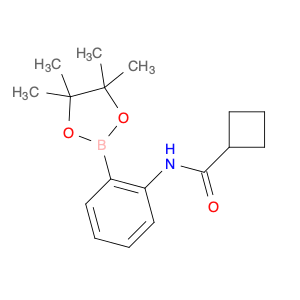 2246657-11-2 N-[2-(tetramethyl-1,3,2-dioxaborolan-2-yl)phenyl]cyclobutanecarboxamide