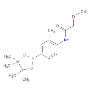 2246691-80-3 2-methoxy-N-[2-methyl-4-(tetramethyl-1,3,2-dioxaborolan-2-yl)phenyl]acetamide