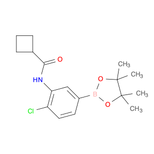 2246693-75-2 N-[2-chloro-5-(tetramethyl-1,3,2-dioxaborolan-2-yl)phenyl]cyclobutanecarboxamide