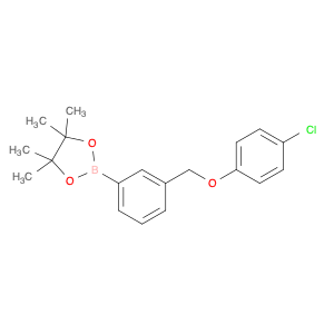 2246802-64-0 2-(3-((4-chlorophenoxy)methyl)phenyl)-4,4,5,5-tetramethyl-1,3,2-dioxaborolane