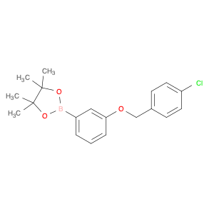 2246811-63-0 1,3,2-Dioxaborolane, 2-[3-[(4-chlorophenyl)methoxy]phenyl]-4,4,5,5-tetramethyl-