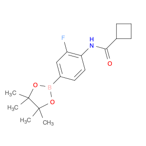 2246828-84-0 N-[2-fluoro-4-(tetramethyl-1,3,2-dioxaborolan-2-yl)phenyl]cyclobutanecarboxamide