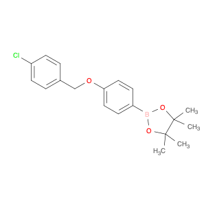 2246937-34-6 1,3,2-Dioxaborolane, 2-[4-[(4-chlorophenyl)methoxy]phenyl]-4,4,5,5-tetramethyl-