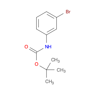 25216-74-4 N-(tert-Butoxycarbonyl)-3-bromoaniline