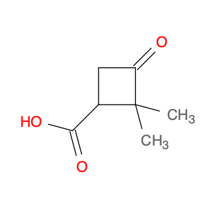 3183-43-5 Cyclobutanecarboxylicacid, 2,2-dimethyl-3-oxo-