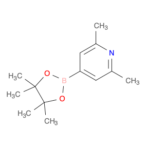 325142-95-8 2,6-DIMETHYLPYRIDINE-4-BORONIC ACID, PINACOL ESTER