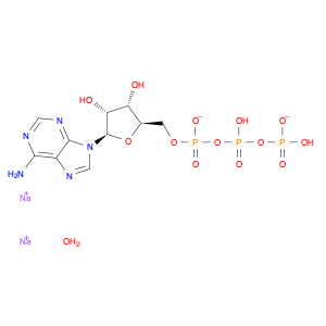 34369-07-8 Adenosine5'-(tetrahydrogen triphosphate), disodium salt, hydrate (8CI,9CI)