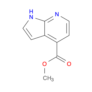 351439-07-1 Methyl 1H-pyrrolo[2,3-b]pyridine-4-carboxylate