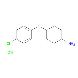 380828-77-3 4-(4-Chlorophenoxy)cyclohexanamine hydrochloride